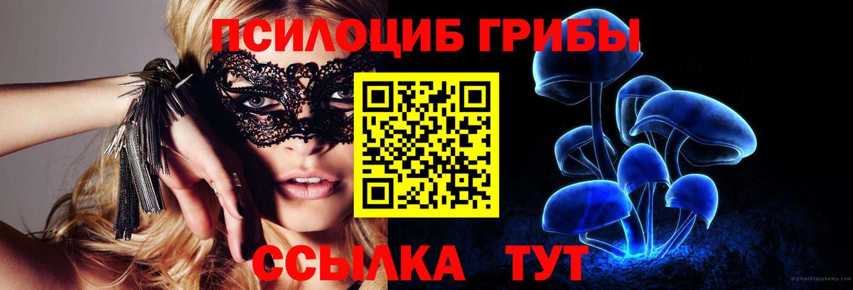 Псилоцибиновые грибы Cubensis Наро-Фоминск